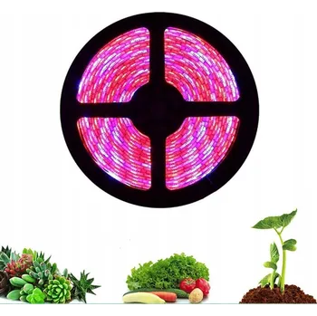 LED osvětlení LED pásek 5050 IP20, 5m role, rostlinný 4:1, pro růst rostlin, grow