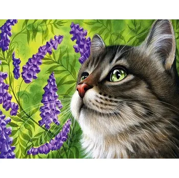 Výtvarná sada Inna Kreatívna sada na maľovanie podľa čísel - Mačiatko a fialový kvet, 30x40 cm, s rámom a štetcami
