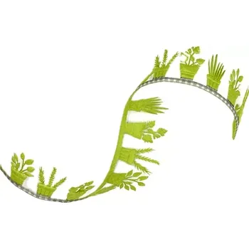 Stuha Stuha girlandová BYLINKY hráškově zelené 40mm x 1m (19,-Kč/m) (Stuha vysekávaná rostliny zelené, filcová, oboustranná )