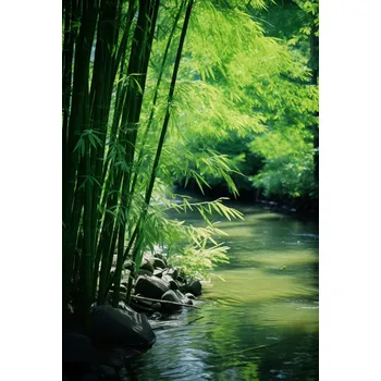 Plakát Plakát Klid Bambusů bez rámu 61 x 90,5 cm