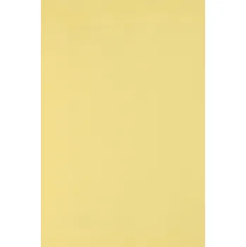 Papír pro tiskárny Barevný karton bristol 250g, žlutý - 10 listů formátu SRA3