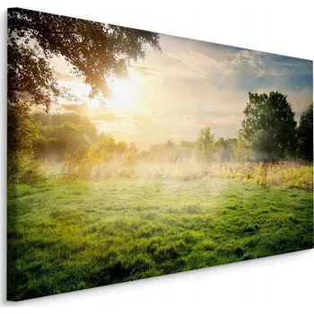 Obraz Obraz na plátně POLANA Zeleň Krajina 3D 30x20