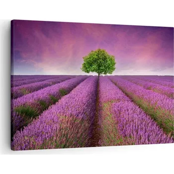 Obraz Obraz na plátně do obýváku, ložnice 70x50 krajina foto obrazy na zeď