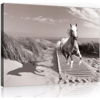 Obraz Obraz do obýváku KONĚ PLÁŽ 3D MODERNÍ 100x70