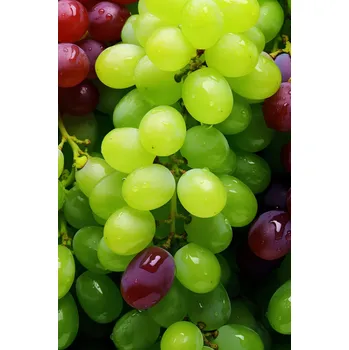 Plakát Plakát Vinohradnický Kaleidoskop bez rámu 61 x 91,5 cm