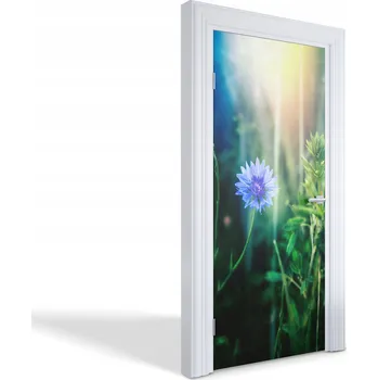 Fototapeta Samolepka samolepící dekorace na dveře a nábytek Modrý květ 95x205 cm