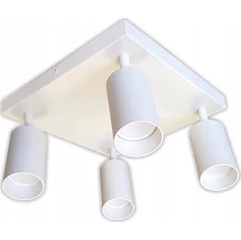 Stropní svítidlo STROPNÍ SVÍTIDLO nastavitelný SPOT s paticí GU10