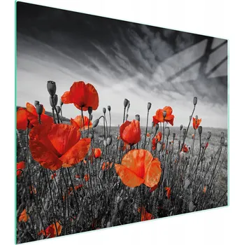 Kuchyňské prkénko Krájecí deska TMK ArtDeko sklo 1 ks