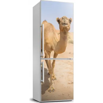 Fototapeta Samolepicí samolepící na ledničku Velbloud na poušti