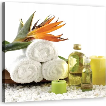 Obraz OBRAZ NA PLÁTNĚ Zen Květiny Olivový 50x50