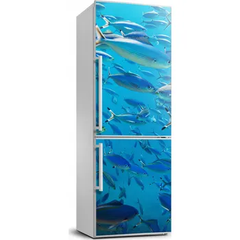 Fototapeta Samolepící nálepka na ledničku Korálové ryby