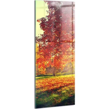 Obraz Skleněný obraz Sklo do ložnice Dekorace interiéru Podzimní park 50x125