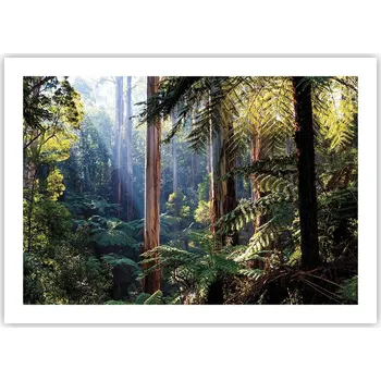 Obraz Plakát bez rámu do obýváku ložnice 70x50 krajina moderní módní obraz