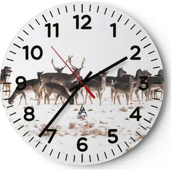 Hodiny Kuchyňské nástěnné hodiny 30x30 Zvířata Moderní skleněné hodiny Obývací pokoj Tiché
