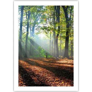 Obraz Plakát bez rámu do obýváku ložnice 50x70 les moderní módní obraz