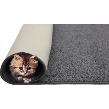 Koberec Koberec Shaggy Měkký Hustý Grafitový Tampa 200x200