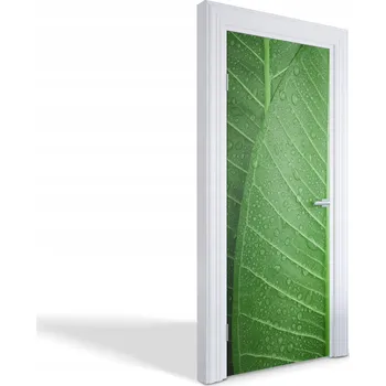 Fototapeta Dekorativní samolepka na dveře, skříň, nábytek - Zelené listy s kapkami 75x205 cm