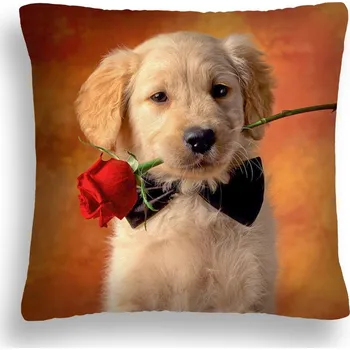 Polštář POLŠTÁŘ VALENTÝN LOVE-02 POVLEČENÍ 40 x 40 PES
