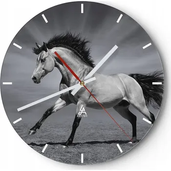 Hodiny Velké nástěnné hodiny 40x40 cm Zvířata Skleněné hodiny Kulatý Tiché