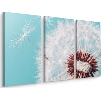 Obraz Obraz TRYPTYK Pampeliška v Makro 3D skále 60x40