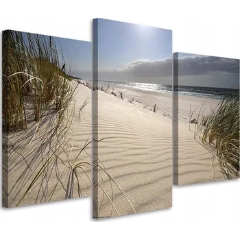 Obraz Třídílný obraz do obýváku Béžový 60x40