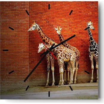 Hodiny Velké nástěnné hodiny 40x40 cm Zvířata Skleněné tiché hodiny