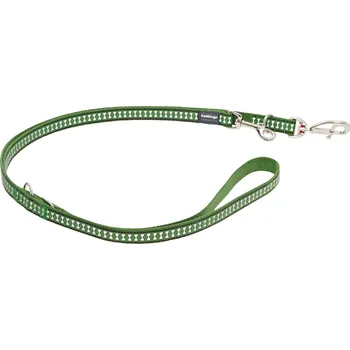 Vodítko pro psa Vodítko RED DINGO reflexní velké přepínací 2m/2,5cm zelená