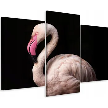 Obraz Obraz Tryptych Pták PLAMEŇÁK Příroda 3D Efekt 90x60