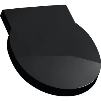 LAUFEN Laufen, Poklop k urinálu se zpomalovacím sklápěcím systémem H8942820000001 Varianta: Černá lesklá