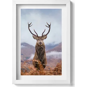 Obraz Elegantní obraz do obýváku v bílém rámu Jelen na horské louce 20x30 cm