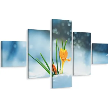 Obraz Vícedílný obraz KVĚTINY Krokusy Sníh 250x150