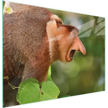 Kuchyňské prkénko Krájecí deska TMK ArtDeko sklo 2 ks