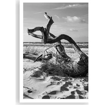 Obraz Plakát na zeď bez rámu 70x100 pláž obraz plakáty do obývacího pokoje ložnice