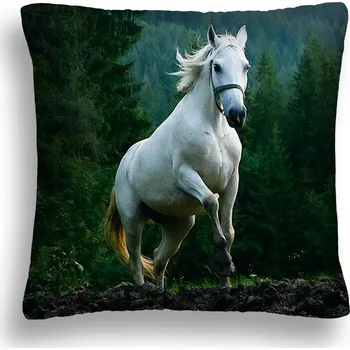 Polštář POVLAK + VÝPLŇ 40x40 BÍLÝ KŮŇ 12 POLŠTÁŘ JAŚ