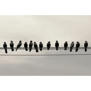 Plakát Plakát Konference ve Výškách bez rámu 91,5 x 61 cm