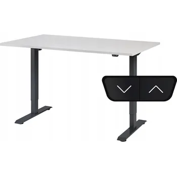 Psací stůl Obdélníkový psací stůl ProErgo 120 x 80 x 121 cm černý