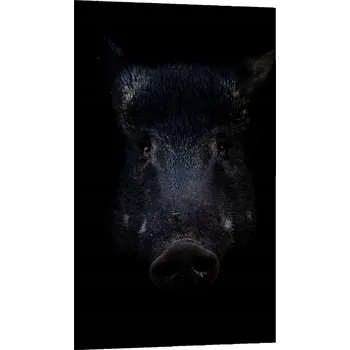 Kuchyňské prkénko Krájecí deska TMK ArtDeko sklo 1 ks