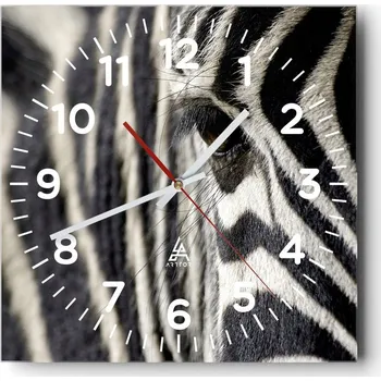 Hodiny Kuchyňské nástěnné hodiny 30x30 Zvířata Skleněné hodiny do obýváku Moderní Tiché