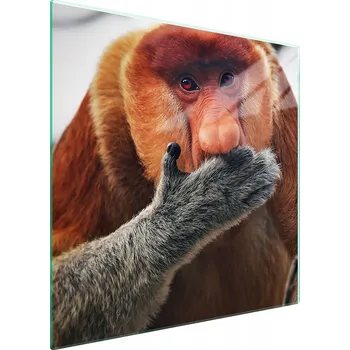 Kuchyňské prkénko Krájecí deska TMK ArtDeko sklo 1 ks