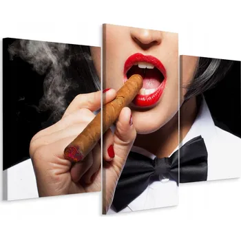 Obraz Obraz Triptych ŽENA S Cigarem Rty Kouř 60x40