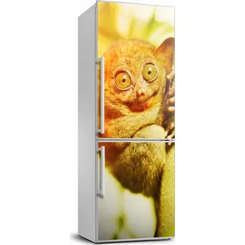 Fototapeta Samolepka na lednici - Okrasná fólie Wyrak upiorný 70x190