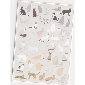 Obraz Plakát Kočky Plemen - Svět Koček bez rámu 42 x 59,4 cm