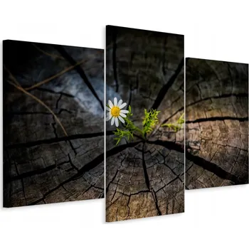 Obraz Obraz Tryptych KVĚTINA v Kmeni Stromu 3D Efekt 90x60
