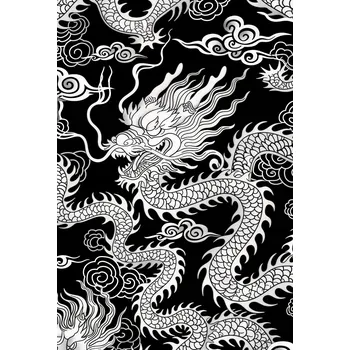 Plakát Plakát 61x90,5cm Orient