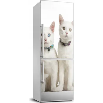 Fototapeta Samolepka / Fólie na lednici Dva bílé kočky 70x190 cm