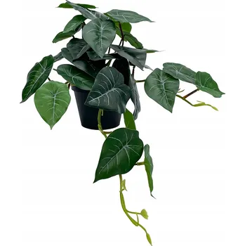 umělá květina Diefenbachie Umělé květy JAKO ŽIVÁ 55 cm