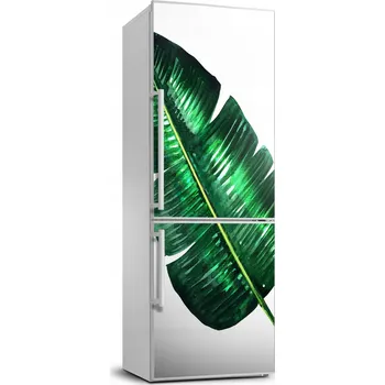 Fototapeta Samolepící dýha na ledničku List banánovníku