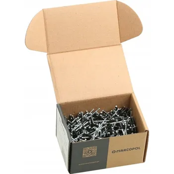 Nýt TRHACÍ NÝTY 4 x 8 ČERNÉ RAL 9005 500 kusů ČERNÝ TRHACÍ NÝT