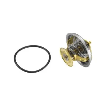 Autoelektrika BorgWarner-Wahler 4117.80D Termostat, chladivo E2858853567E9