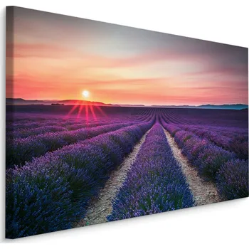 Obraz Obraz Levandulové pole Západ Slunce KRAJINA 3D 70x50